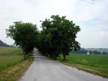 die „Alte Salzstraße”