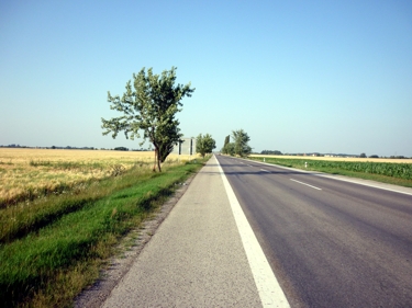 auf dem breiten Seitenstreifen der Hauptstraße Nr. 62