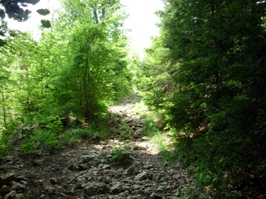 steiniger Weg