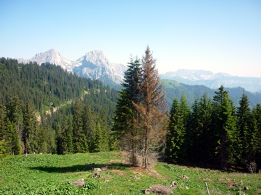 Ennstaler Alpen