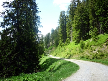 Forstweg