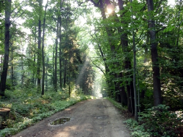 markierter Wanderweg