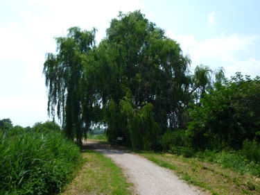 Feldweg