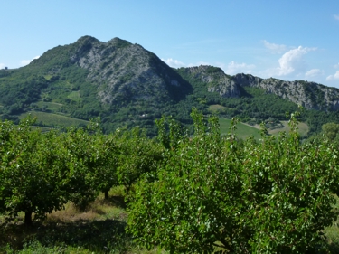 Monte Mauro