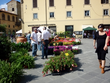 Rynek w Sansepolcro